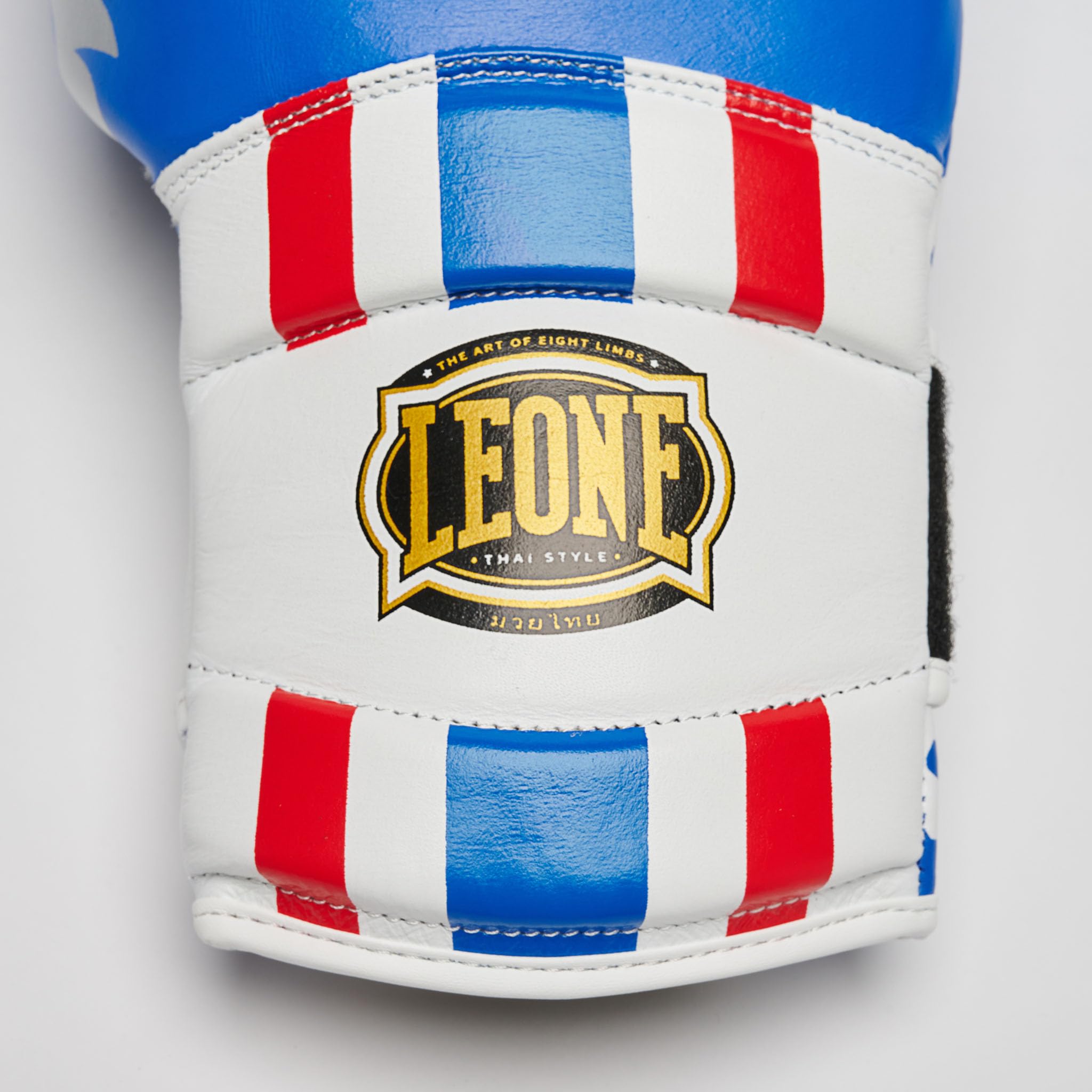 Amazon.com : LEONE 1947, Thai Style Boxing Gloves 10oz. GN114